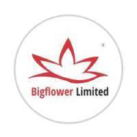 Bigflower Limited