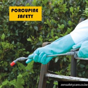 Porcupine-pvc-gloves-in-Kenya-2