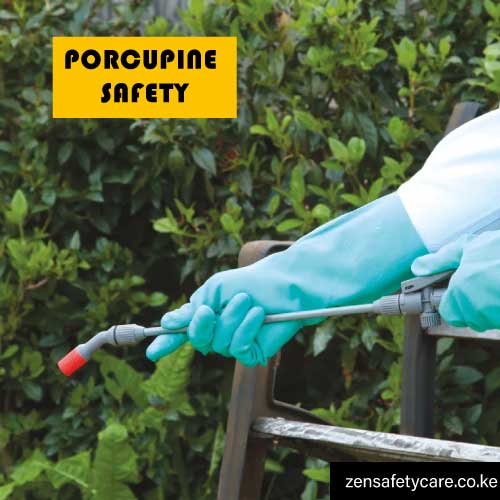 Porcupine-pvc-gloves-in-Kenya-2
